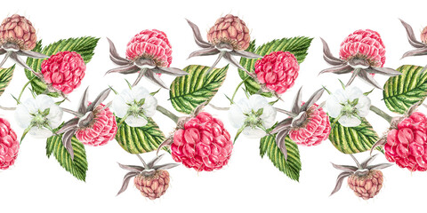 Seamless border with raspberries. Watercolor illustration with raspberries, hand painted in watercolor. Botanical illustration for cover design, fabric, menu, children's books, etc.
