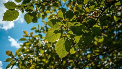 Bright green leaves against a partly cloudy sky.