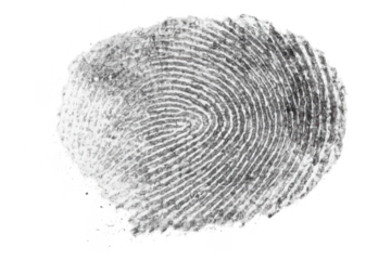 Fingerprint with transparent background showing biometric identification
