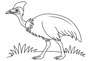 coloring page line art the cassowary bird black vector