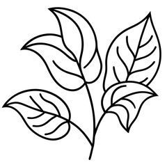 Intricate black line art of lush jungle leaves and twisting vines