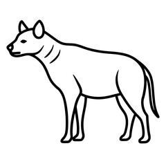Alert hyena standing line art black and white illustration