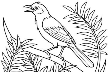 coloring page line art the bowerbird black vector