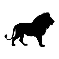 Obraz premium lion black and white