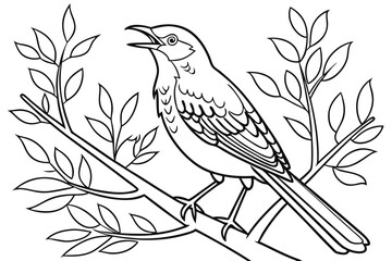 coloring page line art the mockingbird black vector