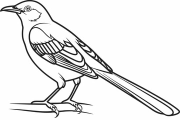 coloring page line art the mockingbird black vector