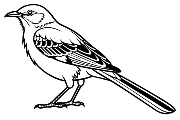 coloring page line art the mockingbird black vector