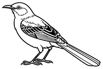 coloring page line art the mockingbird black vector