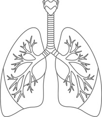 Human Lungs and Bronchial Tree Outline Diagram - AI Generative
