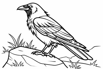 coloring page line art the thrush black vector