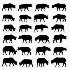 A grid of twenty black silhouette illustrations of water buffalo in various walking, grazing, and standing poses, against a transparent background.