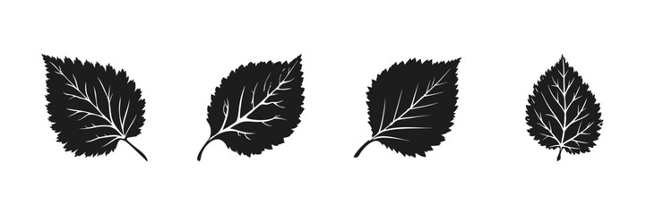 Silhouette Of Various Leaf Designs Set. Nature And Botanical Art Collection. Isolated Vector Illustration