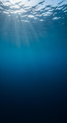 Obraz premium Underwater Sunlight Ethereal Rays Filtering Through the Deep Blue Sea, Creating a Serene and Captivating Aquatic Landscape 