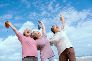 Joyful elderly women celebrate together on a sunny beach during a cheerful summer day with clear skies and gentle waves