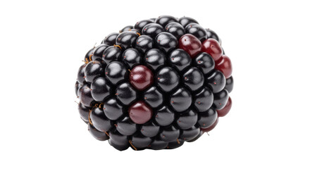 Isolated Blackberry