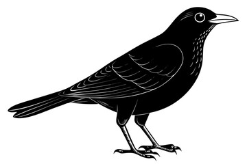 coloring page line art the blackbird black vector