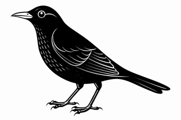 coloring page line art the blackbird black vector