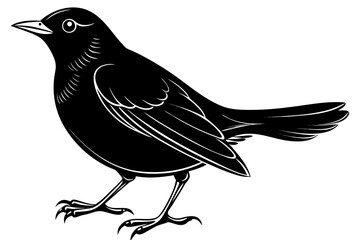 coloring page line art the blackbird black vector