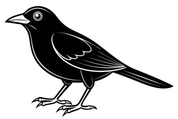 coloring page line art the blackbird black vector