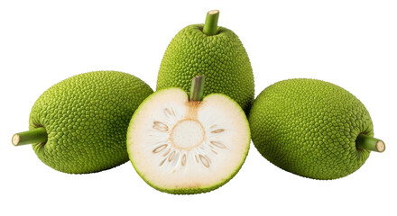 Isolated Jackfruit
