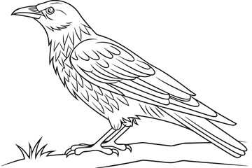 coloring page line art the starling black vector