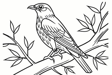 coloring page line art the starling black vector