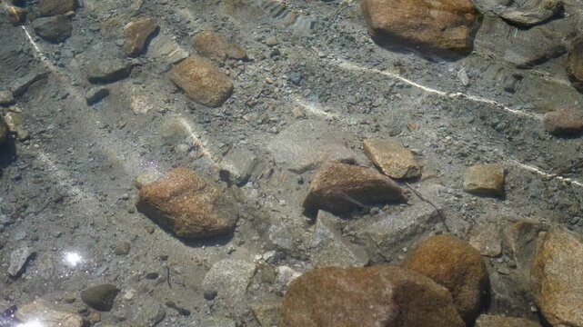Crystal-clear mountain lake water gently ripples over a rocky bottom. Trout and other fish swim peacefully beneath the surface. Sunlight sparkles across the calm, transparent water.