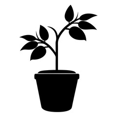 Silhouette of a healthy tomato plant growing in a simple pot isolated on white background