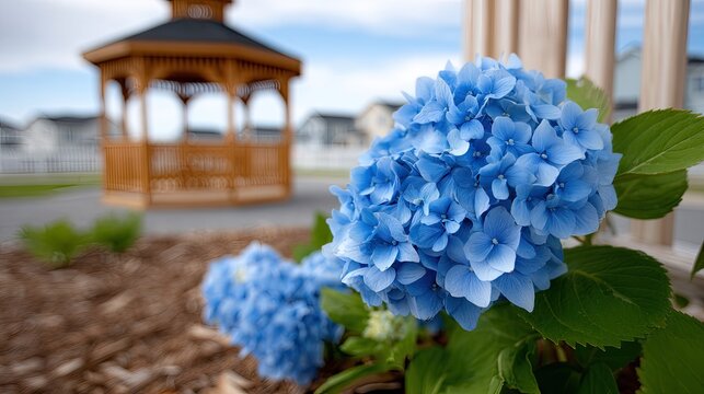 Beautiful flower garden at sunset with gazebo, hydrangeas, and relaxed seating for family and friends to enjoy on a summer evening