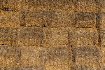 rectangular stacks of straw for storage ,stacked one on one stack of wheat straw after grain harvest