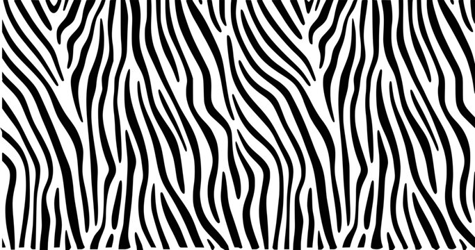 Black and white zebra stripe pattern stripes