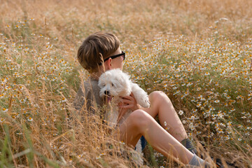 A boy with a white fluffy puppy in his arms sits in a chamomile field. A boy with his dog is...