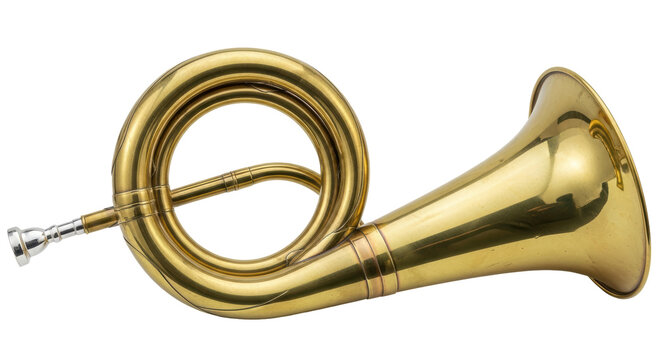 Isolated Bugle
