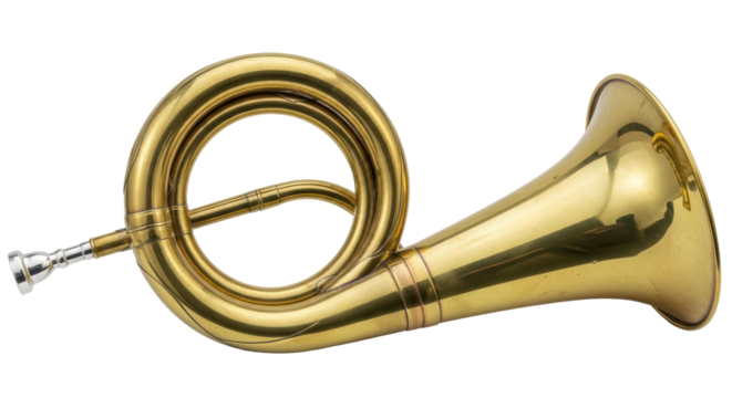 Isolated Bugle