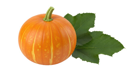 Isolated Orange Pumpkin