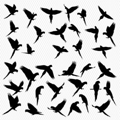 A collection of silhouette images depicting various parrots in different poses, some flying, some perched, against a neutral background.