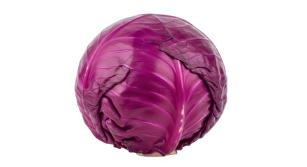 Isolated Red Cabbage