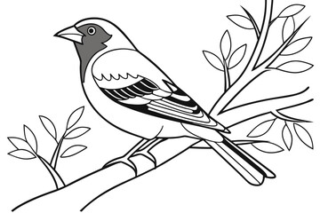 coloring page line art the finch black vector