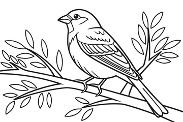 coloring page line art the finch black vector