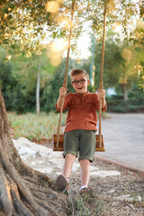 portrait of a boy in a park sitting on a hanging wooden swing for children, in a retro style