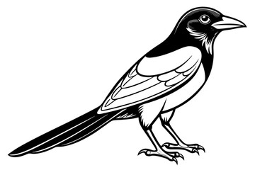 coloring page line art the magpie black vector
