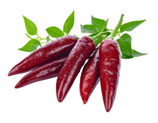 Bunch of fresh red chili peppers with green leaves isolated on transparent background