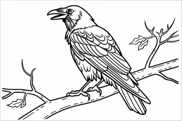 coloring page line art the crow black vector