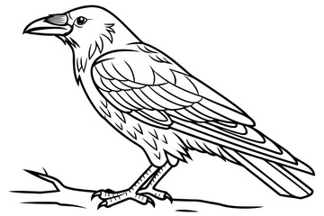 coloring page line art the crow black vector
