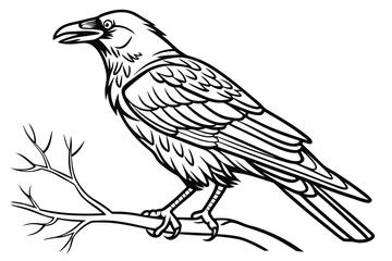 coloring page line art the crow black vector