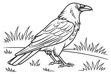 coloring page line art the crow black vector