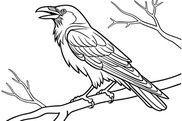 coloring page line art the crow black vector