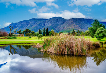 Helderberg Mountain reflection in the pond at Waterford Estate, Stellenbosch, South Africa