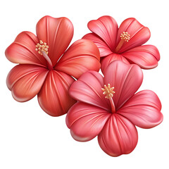 hibiscus flower isolated on white