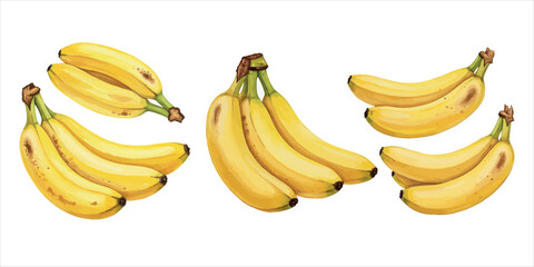 Realistic banana bunches on white background with detailed texture